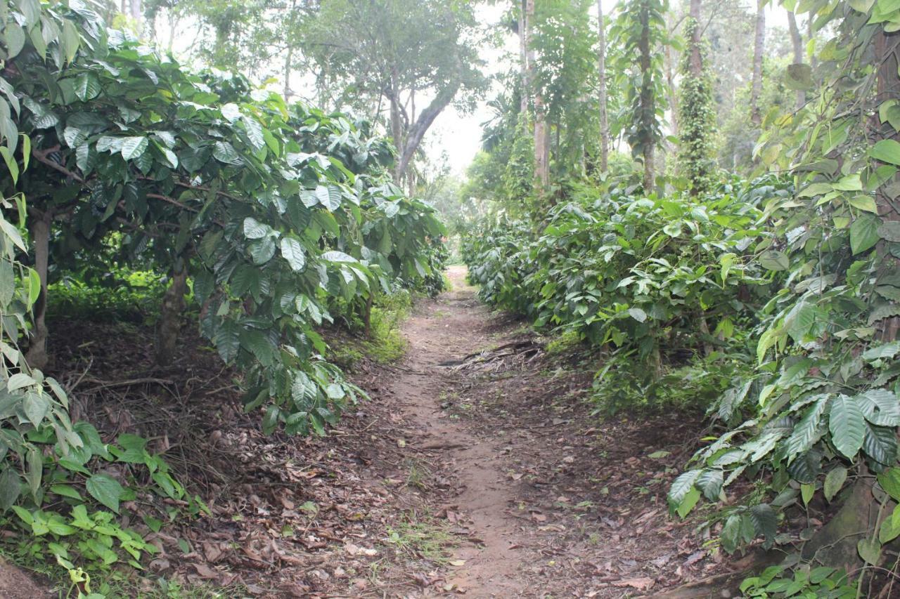 Whistling Woods Farm Stay Kushālnagar 외부 사진