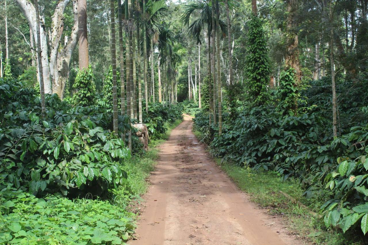 Whistling Woods Farm Stay Kushālnagar 외부 사진