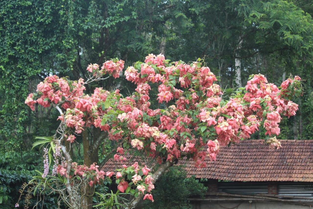 Whistling Woods Farm Stay Kushālnagar 외부 사진